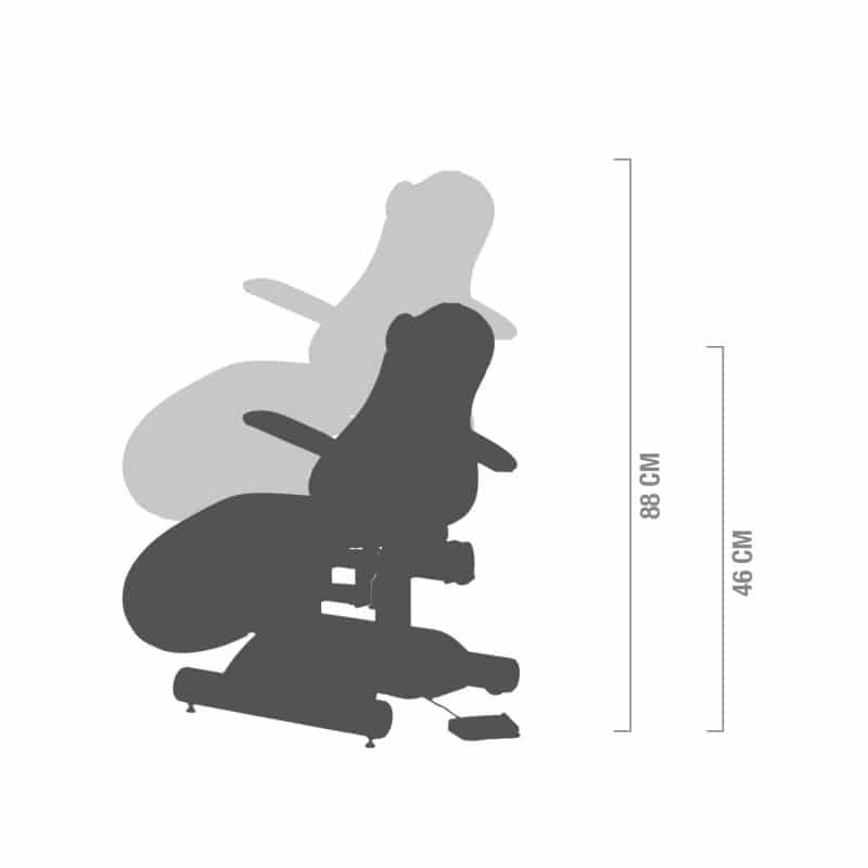 Cosmetic Treatment Chair foot switch | garonne