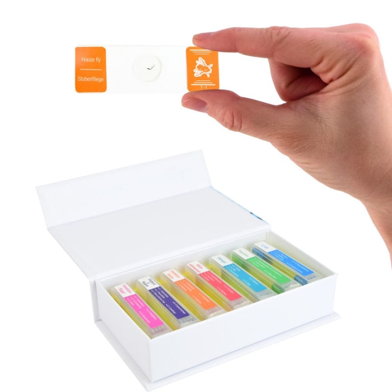 School Microscope Specimen Set