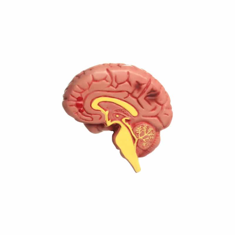 Hypertension Model Set