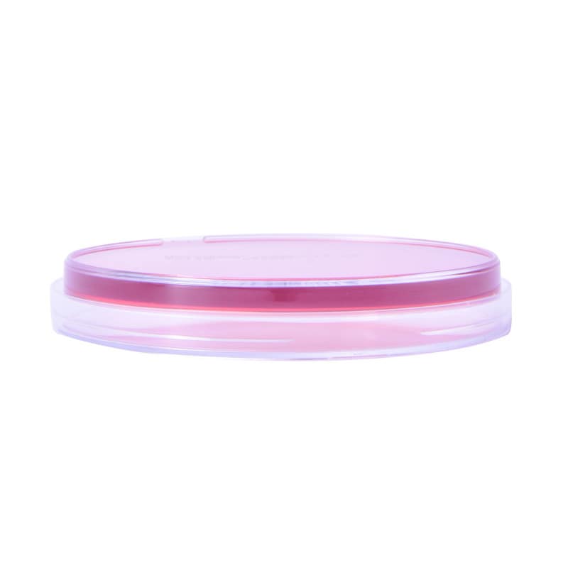 MacConkey Agar