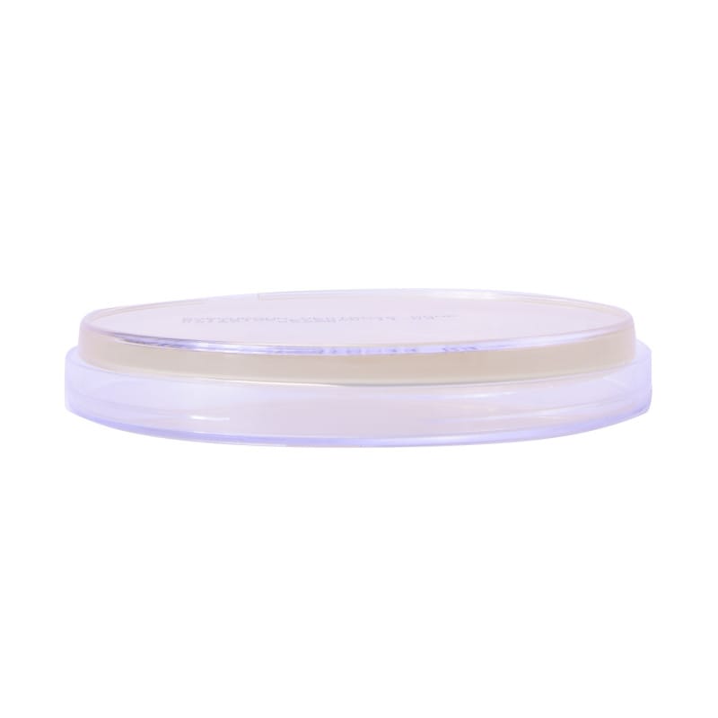 Sabouraud Dextrose Agar