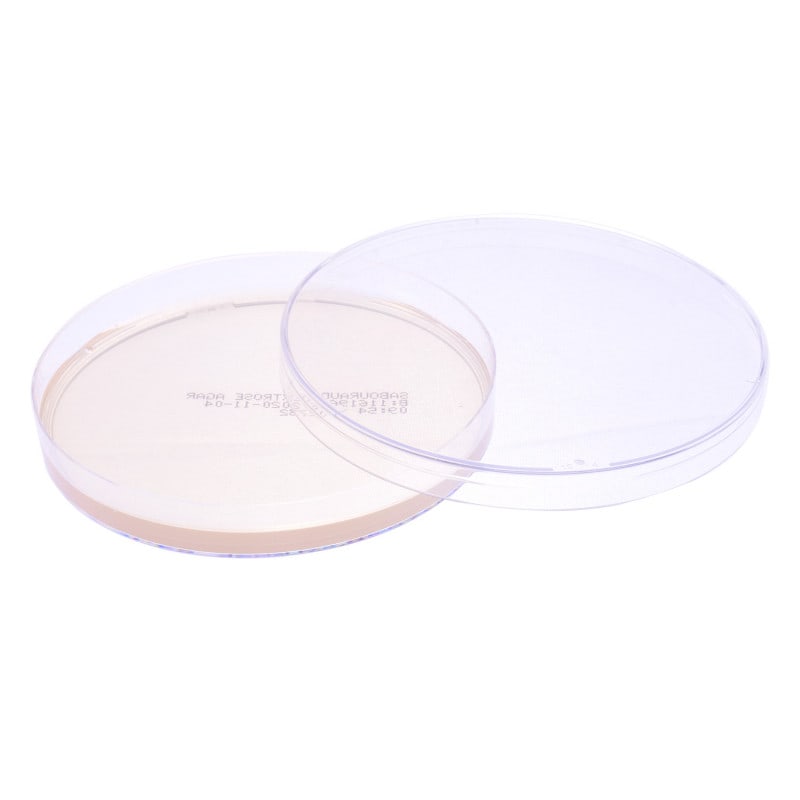 Sabouraud Dextrose Agar