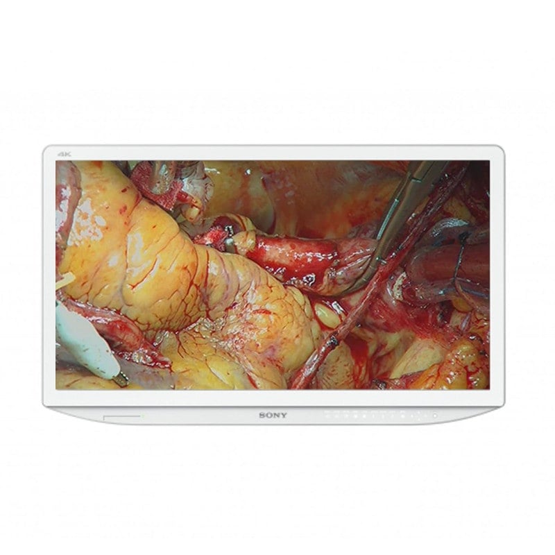 SONY LMD-X550MD