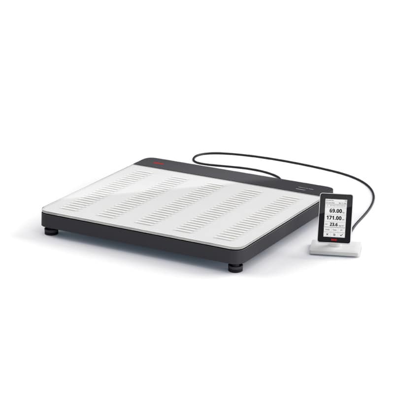 seca 651, Calibrated Flat Scale