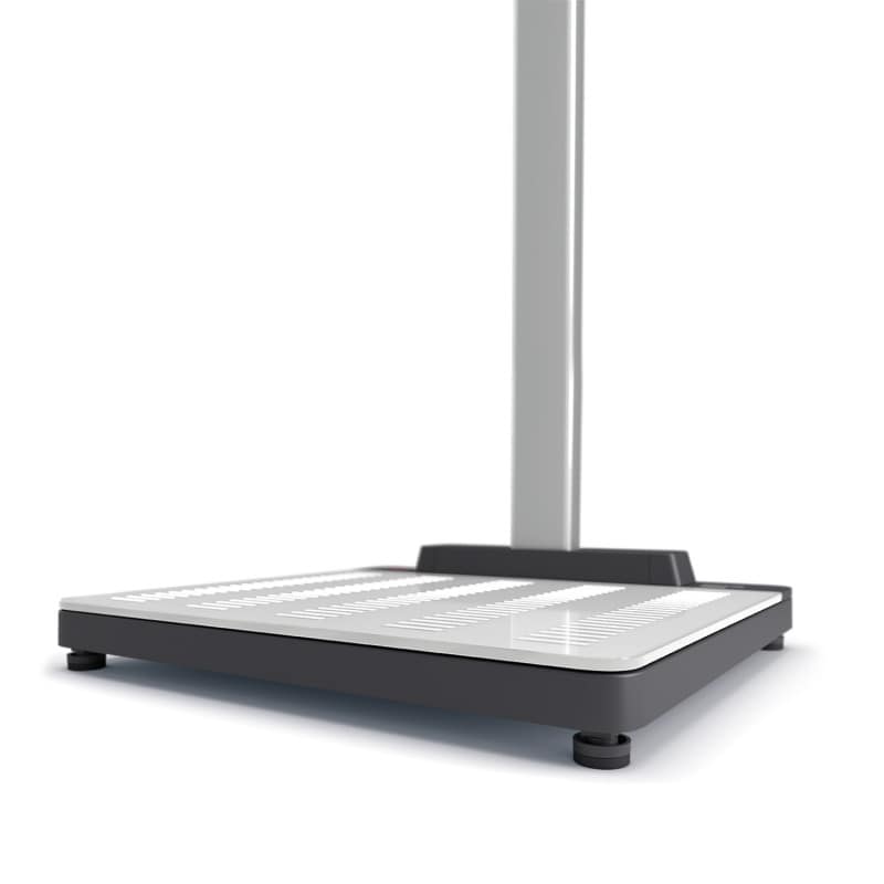 seca 655 Scale-up Handrail Scale