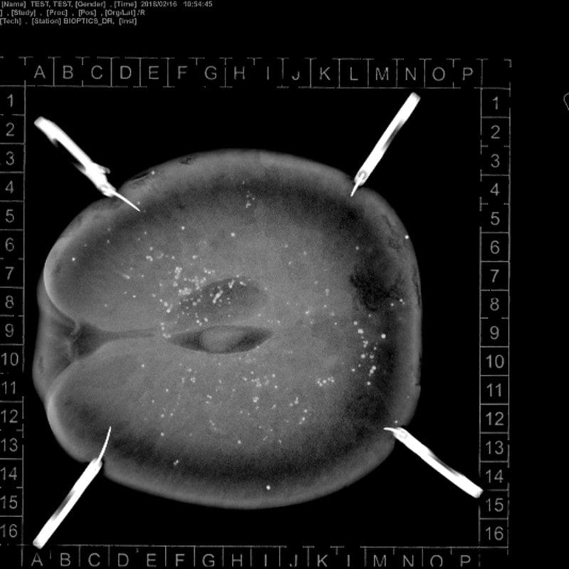 KLINITRAY™ Mammary Plates R | Small