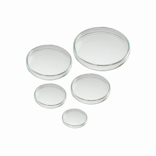 Petri Dish 100 x 20 mm