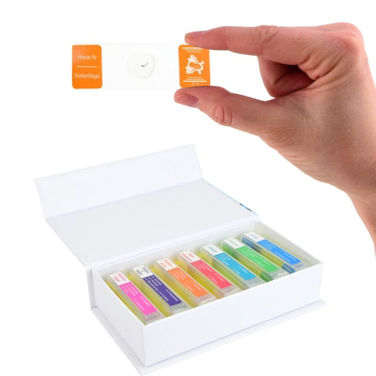 School Microscope Specimen Set