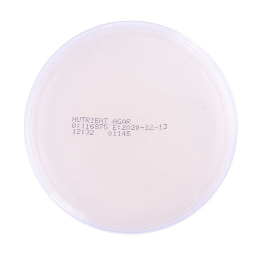 Nutrient Agar