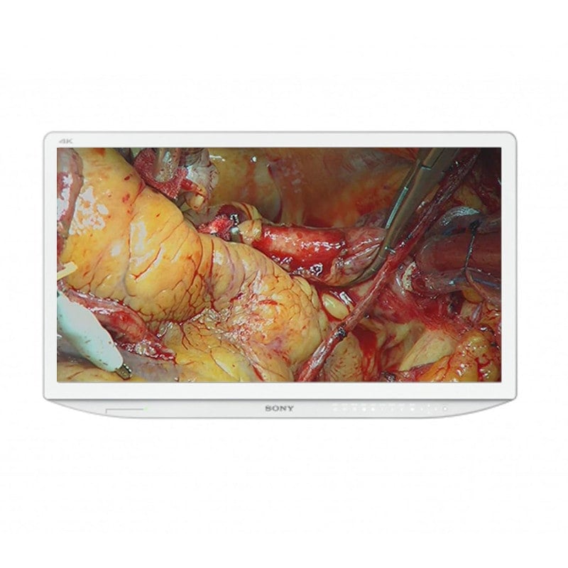 SONY LMD-X310MD