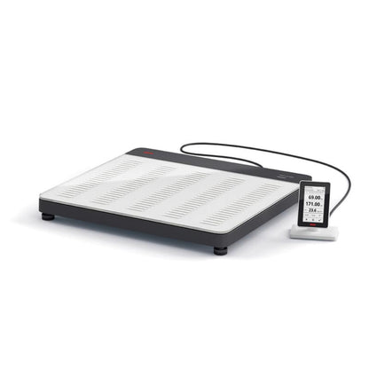 seca 651, Calibrated Flat Scale