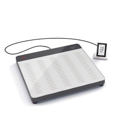 seca 651, Calibrated Flat Scale