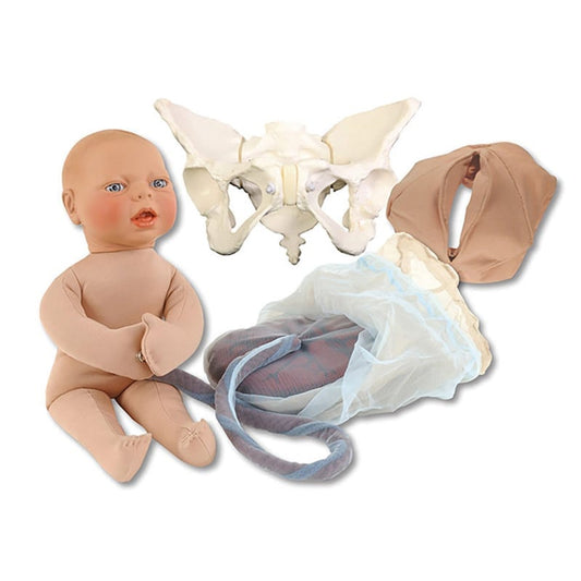 Deluxe Childbirth Model Set