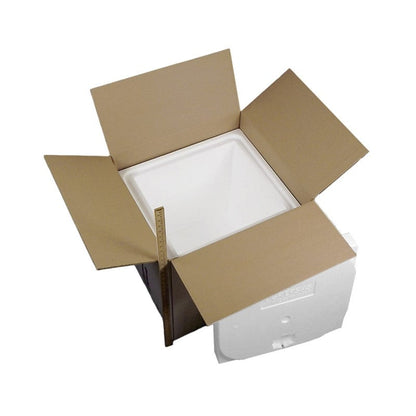 Biotherm Dry Ice System B, 38.5 x 38 x 39.5 cm