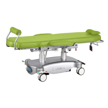 Multifunctional Treatment Chair granny