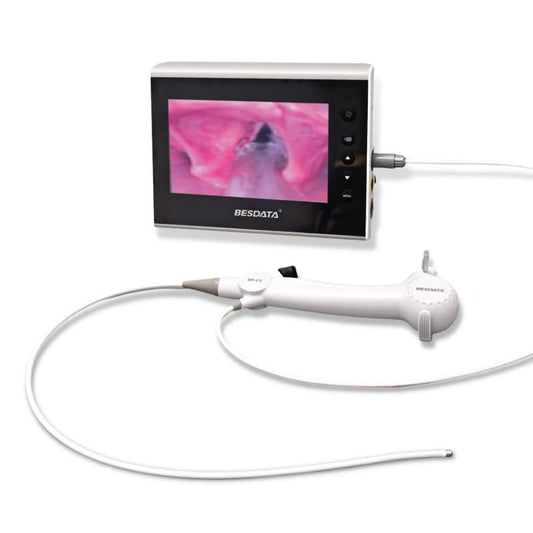 Bronchoscopy Monitor