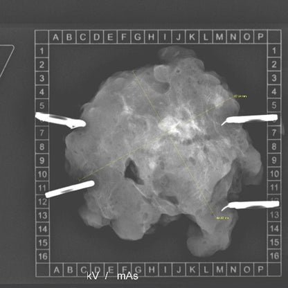 KLINITRAY™ Mammary Plates R | Small